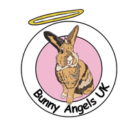 Bunny Angels UK