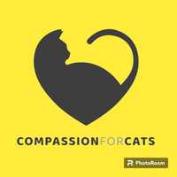 Compassion for Cats